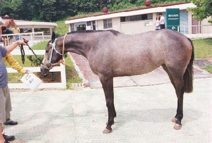 Ŭ���� ����