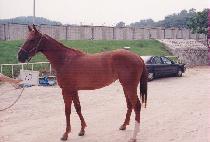 ȩ���н�Ʈ���ڸ� ����