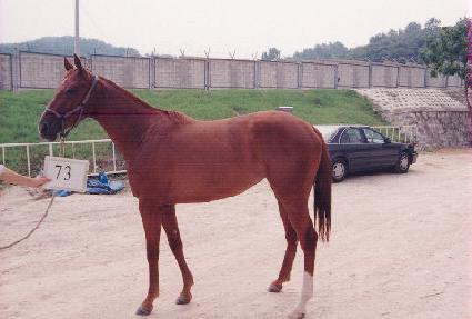 ȩ���н�Ʈ���ڸ� ����