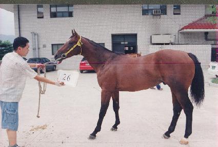 ��ݸ��� ����