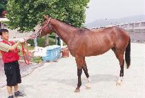 ���뼺 (CHIPTAESEONG) ����