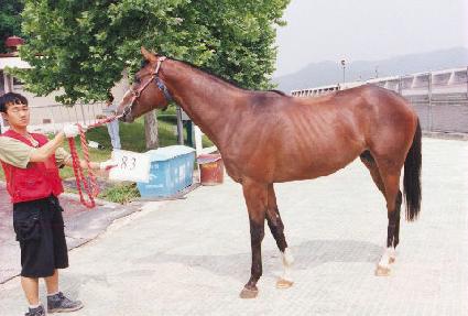 ���뼺 ����