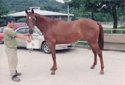 �ξ� ����