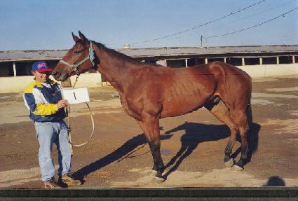 ���彺��Ʈ ����