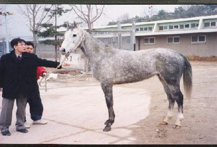 �ÿ�����׷��� ����