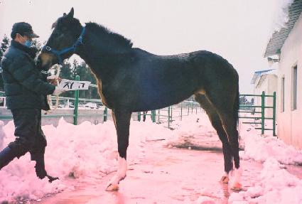 ġ�� ����