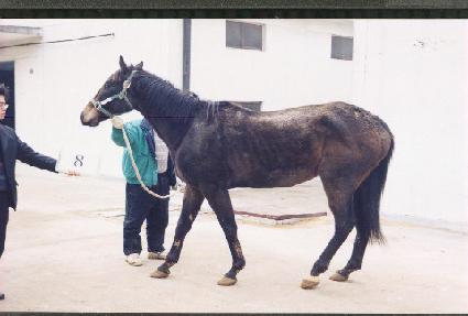 ��ƩƮ ����