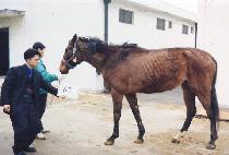 �̽ú� (MISSY BELLE) ����