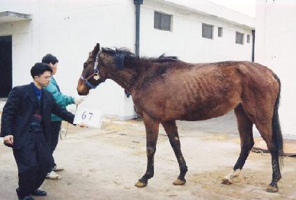 �̽ú� ����