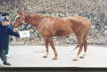 ���͸���ũ��� (GOTTA MAKE A LIVIN) ����