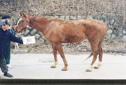 ���͸���ũ��� ����