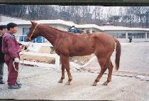 ���������Ʈ (YOU��RE A PROSPECT) ����