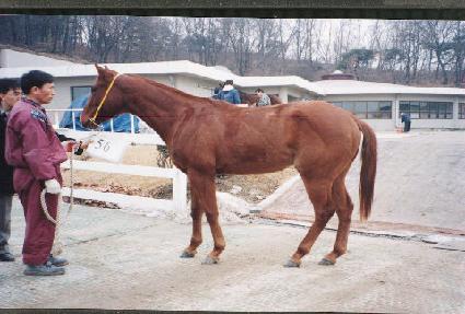 ���������Ʈ ����