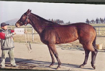 ���� ����