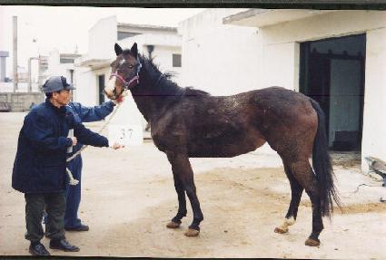 �ر۸������Ƽ�� ����