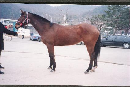 ��Ʈ�ӽ� ����