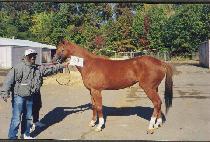 �Ѿ��������ũ (WHERE��S THE RISK) ����