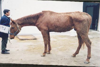 �׹��������丮 ����