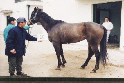 ���۳����� ����