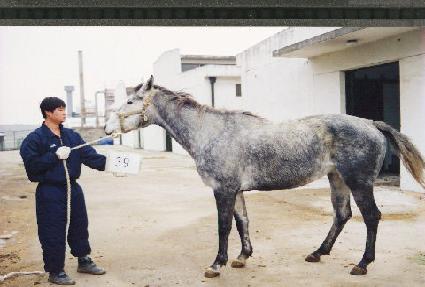 ũ�������ַѸ� ����