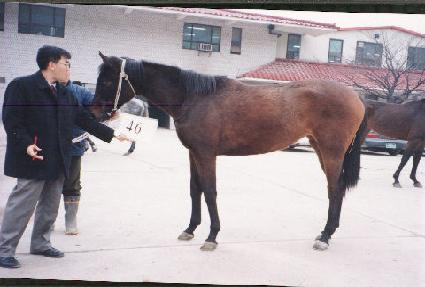 �帲��Ÿ�� ����