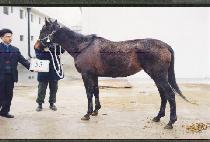 ����Ǯ��ε� (WONDERFUL MELODY) ����