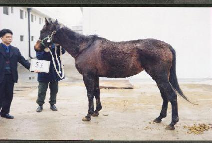 ����Ǯ��ε� ����