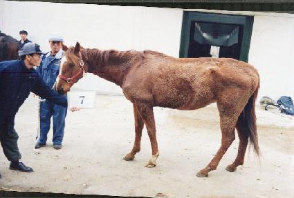 ������������� ����