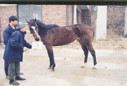 ���������Ĺ ����