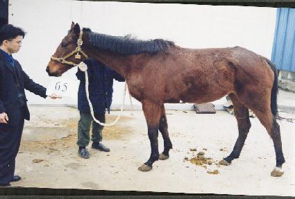 ������ٷ��Ӵ� ����