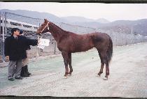 ĳ����Ⱥ���Ʈ (CANADIAN BLAST) ����