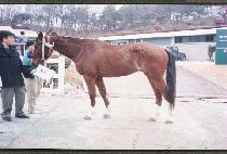 ĳ����ž (CAFINE��S TOP) ����