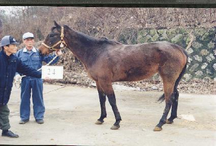 �̽���ƾ���� ����