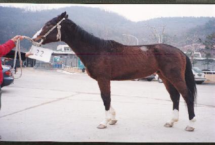 ���ѹ� ����