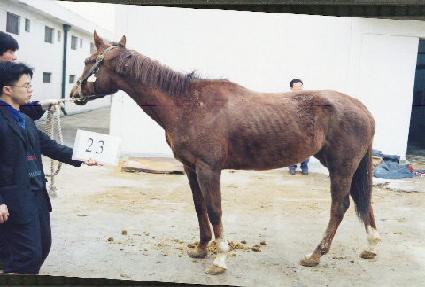 �����ġ ����