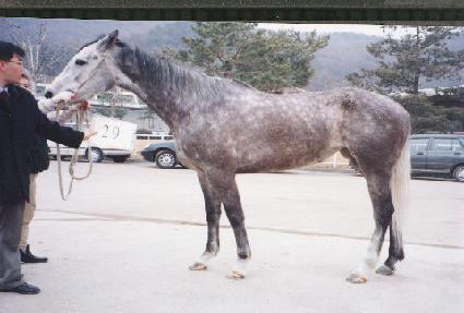 ���ٿ���� ����