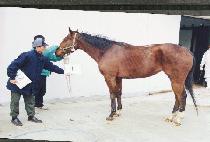 ��Ʈ������ũ (WHITNEY��S PARK) ����