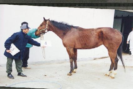 ��Ʈ������ũ ����