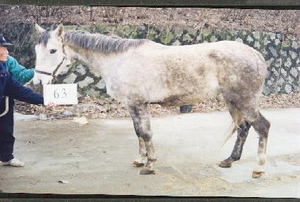 ũ���������� ����