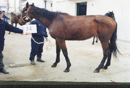 �����ü� ����