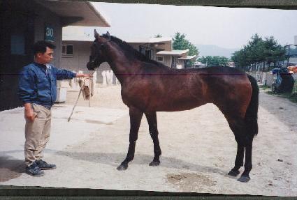 ����ũ�ذ� ����