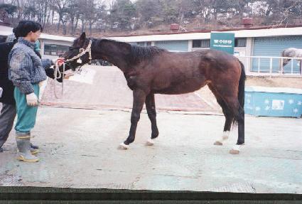 ��Ƽ���� ����