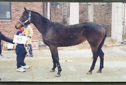 ��Ͽõ� ����