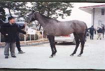 ��������� (PHOTOPHOBIA) ����