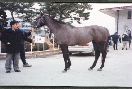 ��������� ����