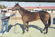 ��������Ʈ�극�� (MS POINT BREAK) ����