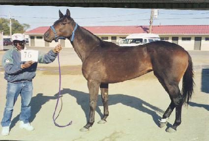 ��������Ʈ�극�� ����