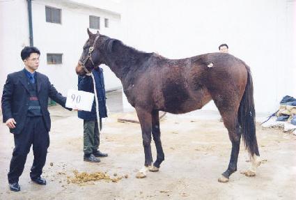 ���̴�Ÿ�� ����