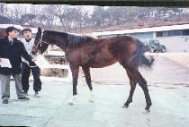 ���н��� (RUN FASTER) ����