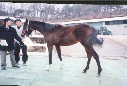 ���н��� ����